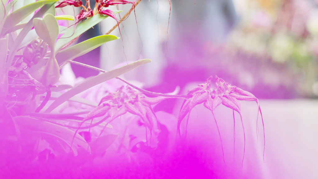 秋のラン ’１８＿１９