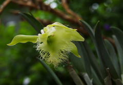 ラ　ン・１＿３