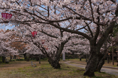 桜・萩城跡４＿４