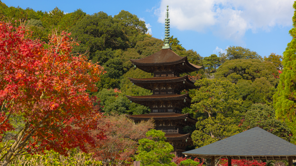 香山園 秋の彩り’２２＿４