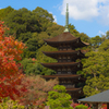 香山園 秋の彩り’２２＿４