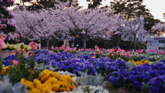 春・ときわ公園・３１＿９