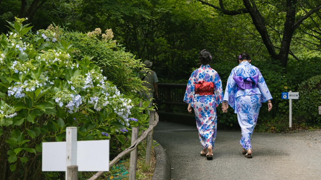 初夏の彩り＿９