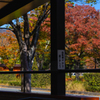 山口市内 秋の彩り＿２０