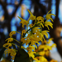 ラン展 in 下関・５