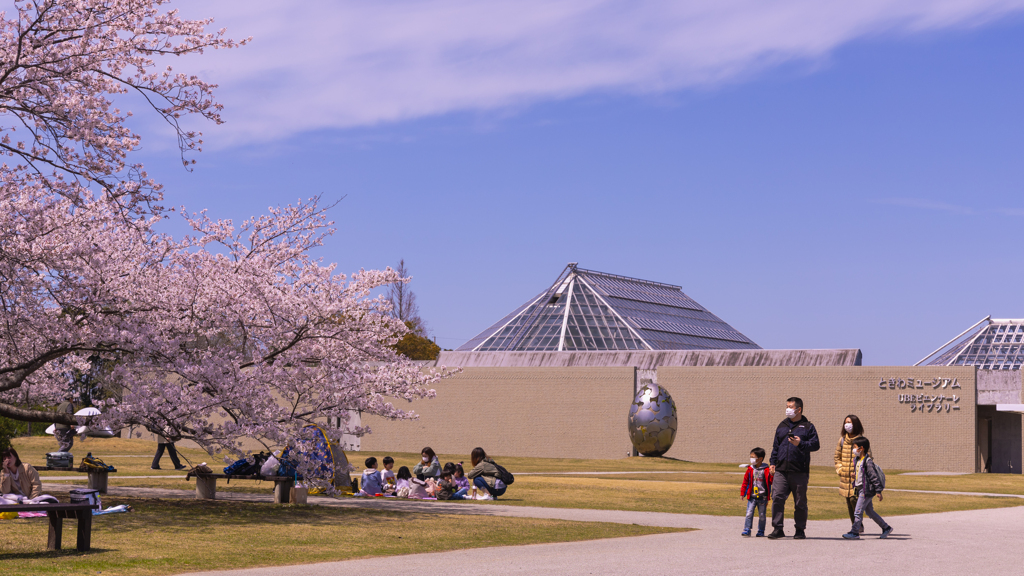 ときわ公園の桜＿２４