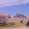 ときわ公園の桜＿２４