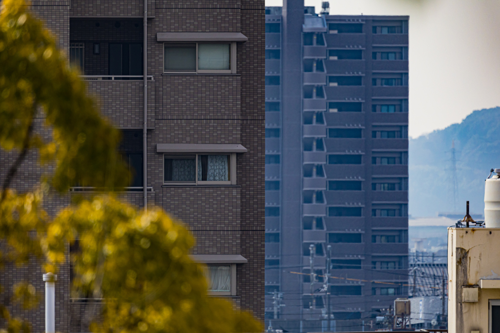CANON RF 800mm F11 （ 試写・１）