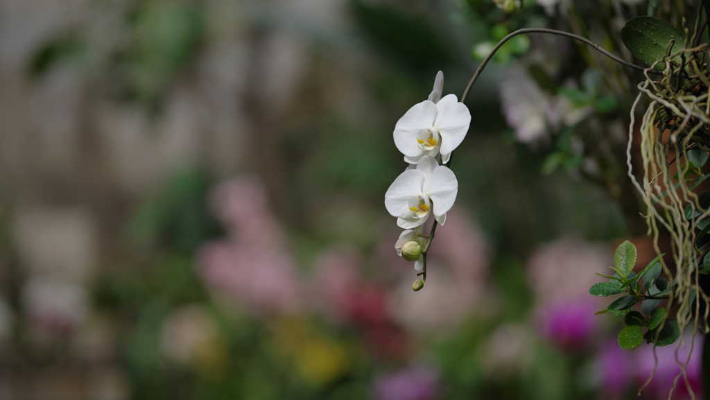 ラン・３１＿１２