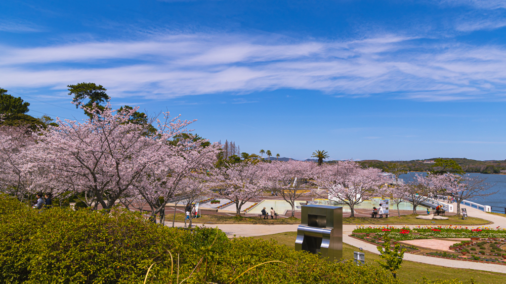 桜・ときわ公園１