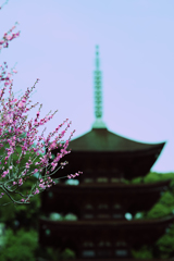 梅花と五重塔＿１１