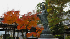 秋の彩り＿２０
