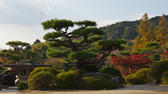 紅葉＿毛利氏庭園・３０＿１８