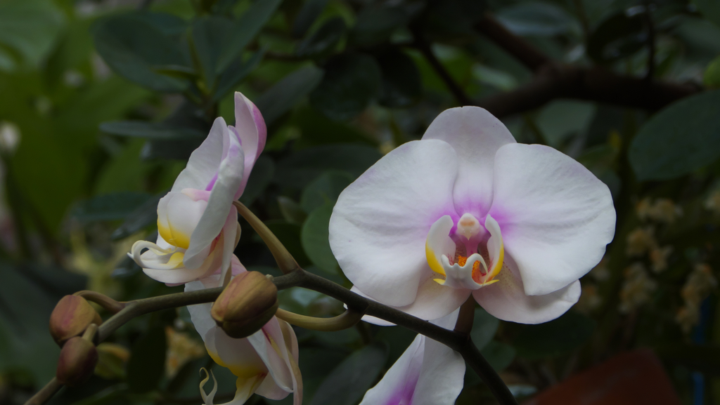 ラン・３１＿８