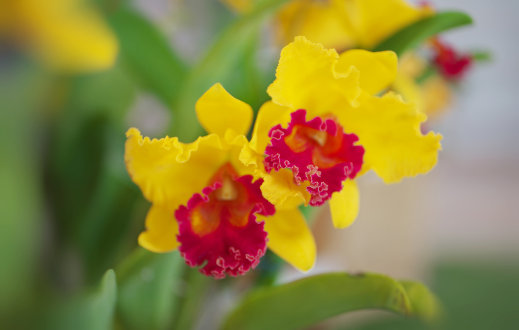 秋のラン ’１８＿１１