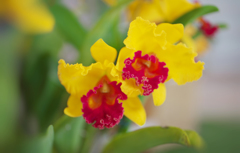 秋のラン ’１８＿１１