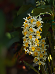 ラン展 in 下関・１３