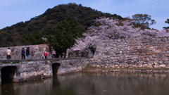 桜・萩城跡１＿２