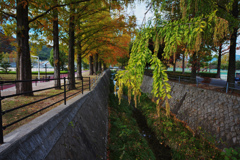 秋・維新公園３０＿３
