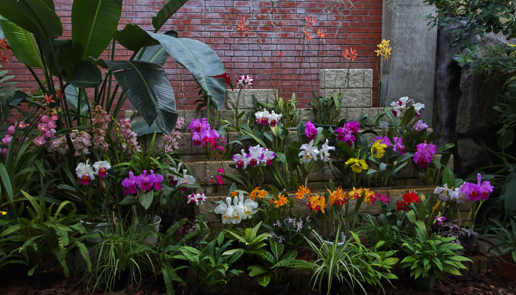 ラン・３１＿５