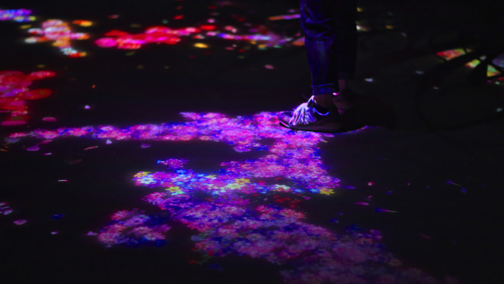 teamlab★デジタルアート＿１１