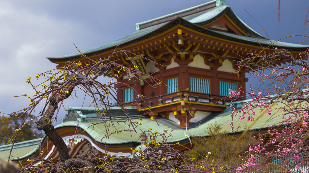梅花・１６