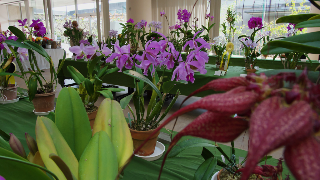 秋のラン ’１８＿２１