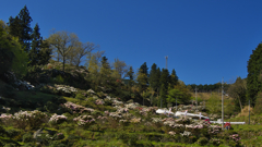 石楠花の里・２