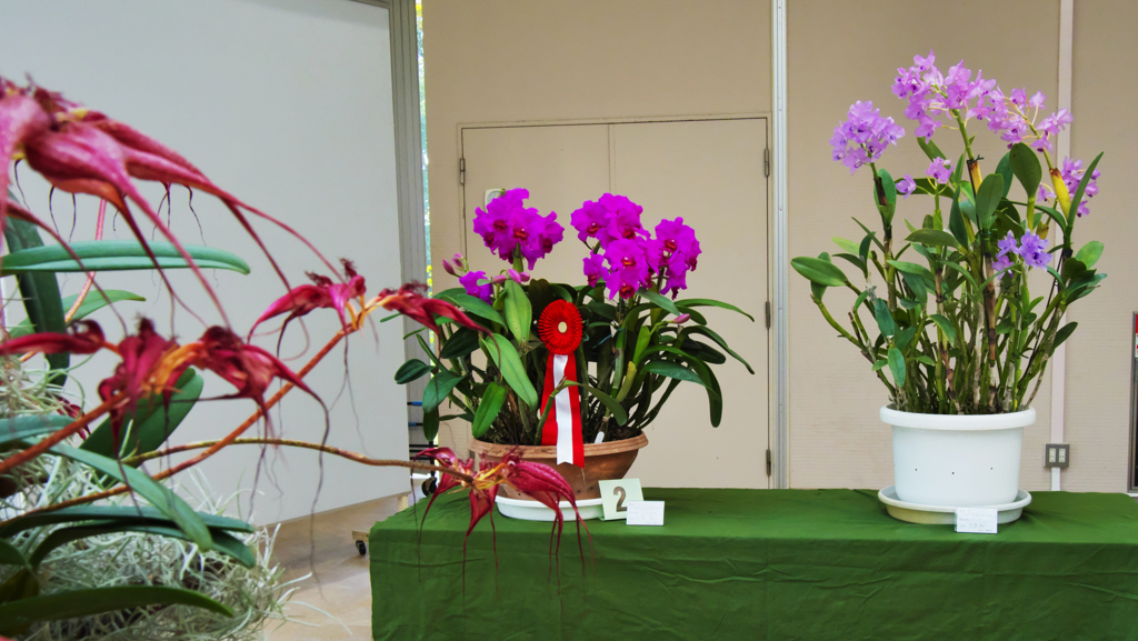 秋のラン ’１８＿１０