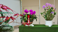 秋のラン ’１８＿１０