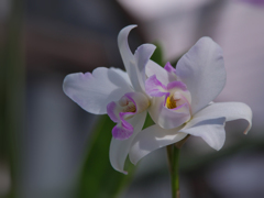 ラン展 in 下関・１２