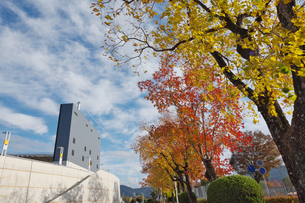 秋・維新公園３０＿１４