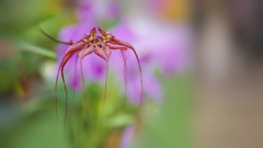 秋のラン ’１８＿４