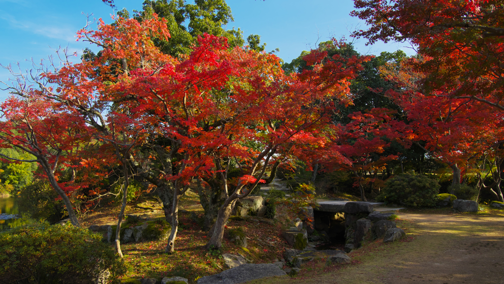 紅葉探索・２９