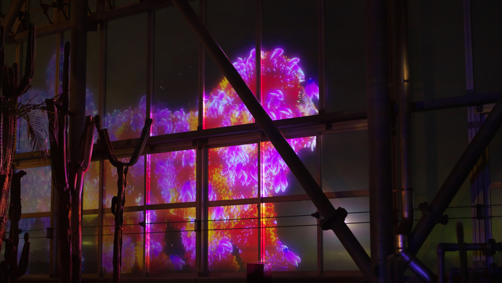 teamlab★デジタルアート＿２８