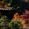 秋模様・重源の郷＿７