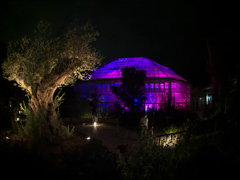 チームラボ・ときわ公園 ２０１９＿２３
