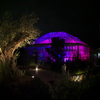 チームラボ・ときわ公園 ２０１９＿２３
