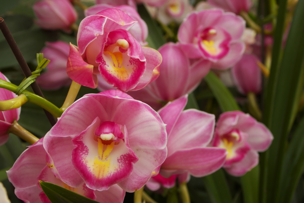 ラン・３１＿６