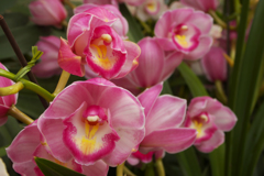 ラン・３１＿６