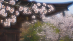 春はサクラ色・３