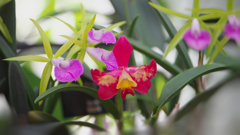 秋のラン ’１８＿１７