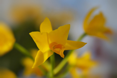 ラン展 in 下関・７