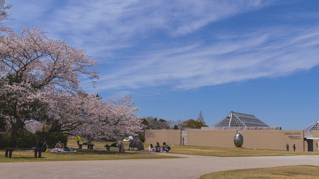桜・ときわ公園２