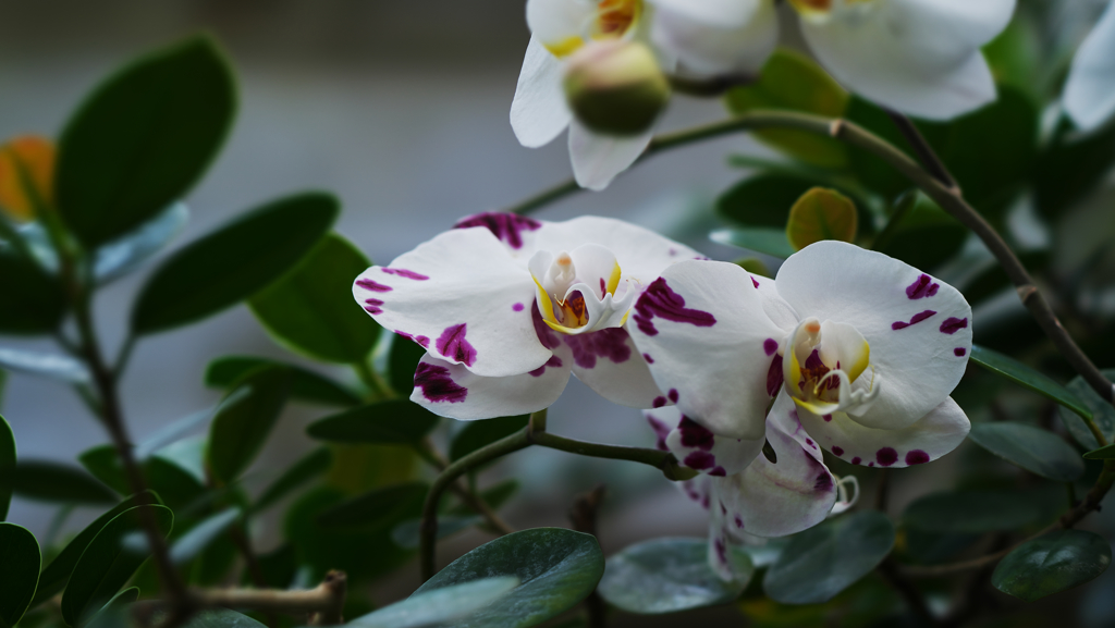 ラン・３１＿２１