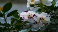 ラン・３１＿２１