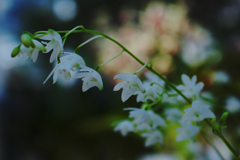 ラン展 in 下関・４