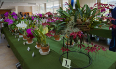 秋のラン ’１８＿２２