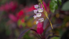 ラン・３１＿１７