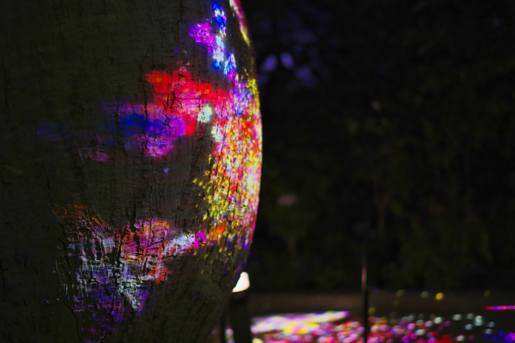 teamlab★デジタルアート＿１６